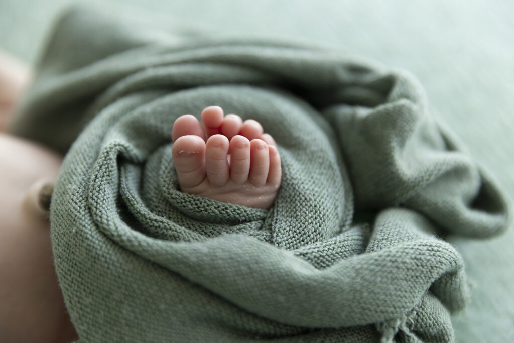 Newborn Photographer Brisbane