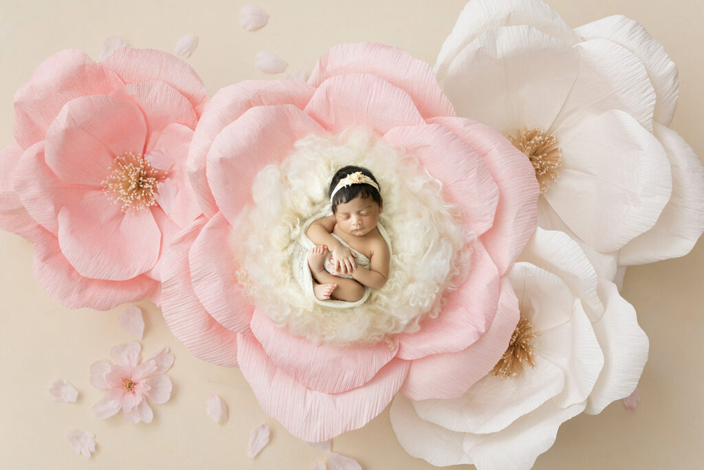 Newborn Photographer Brisbane