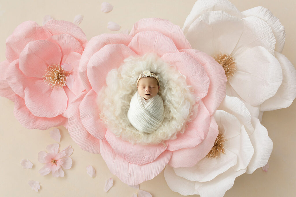 Newborn Photography