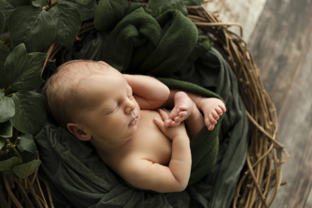 Newborn Photographer Brisbane