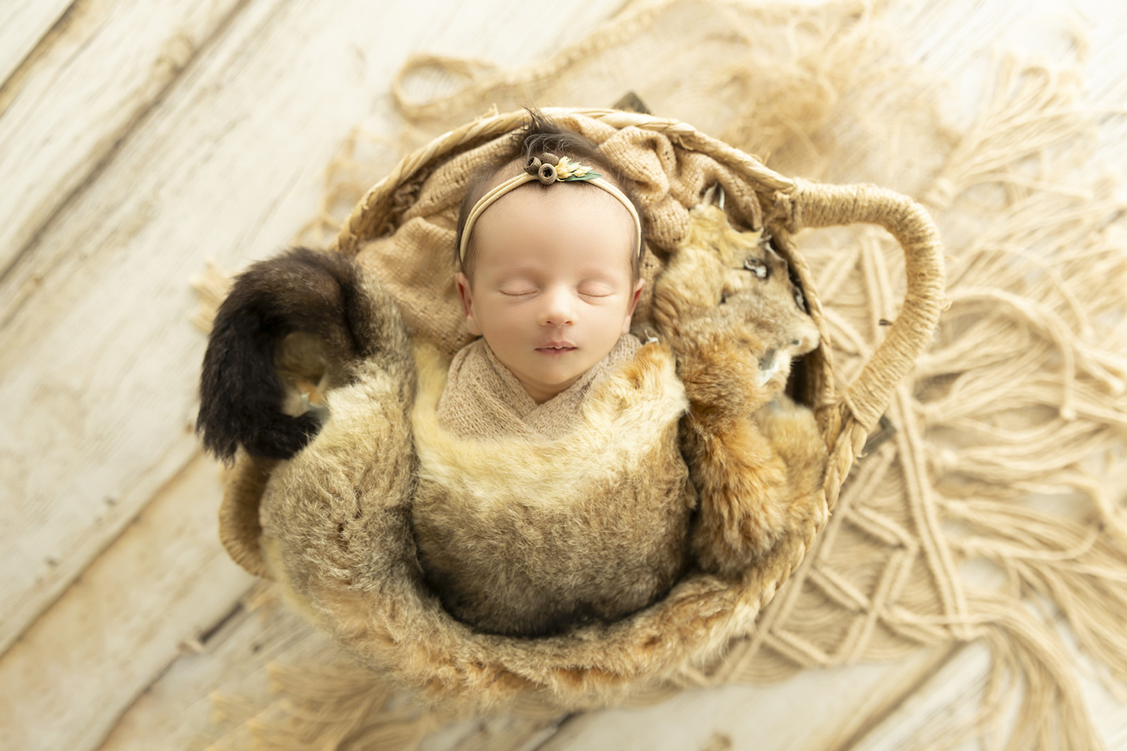 Newborn Photography