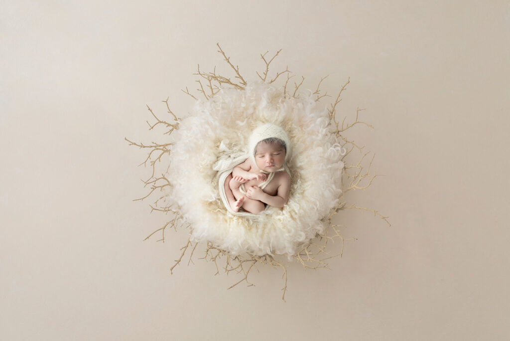 Newborn Studio Brisbane