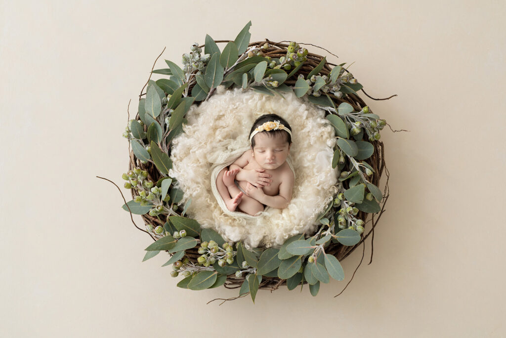 Newborn Studio Brisbane