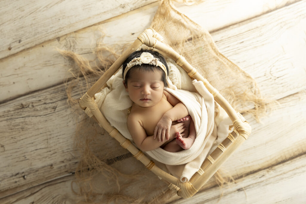 Newborn Studio BNE