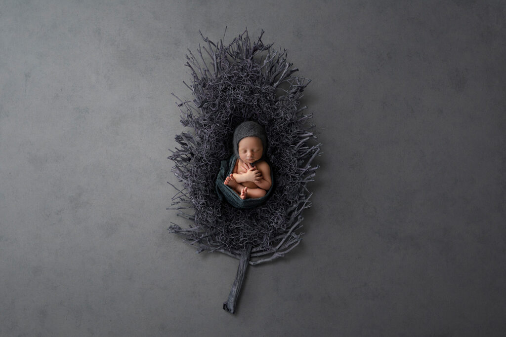 Newborn Studio