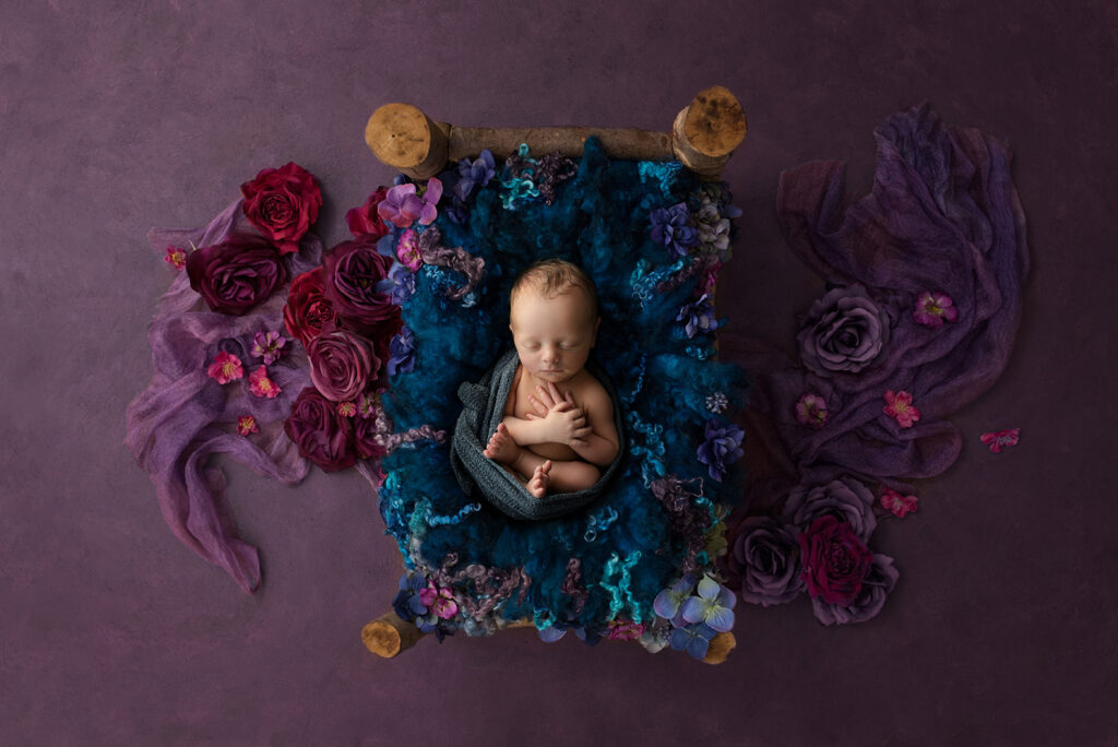 Newborn Studio