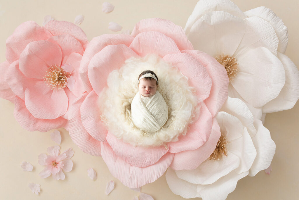 Newborn Studio